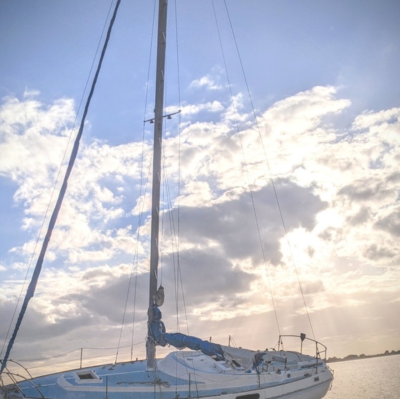 Meet your Posher, Sophie - Picture 1 of 1